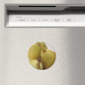 Pear Fruit Magnet (Insitu (Vaatwasser))