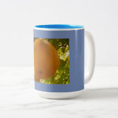 Pear Harvest Tweekleurige Koffiemok (Voorkant rechts)