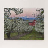 Pear Orchard in Bloom with Barn near Mount Hood Legpuzzel (Horizontaal)