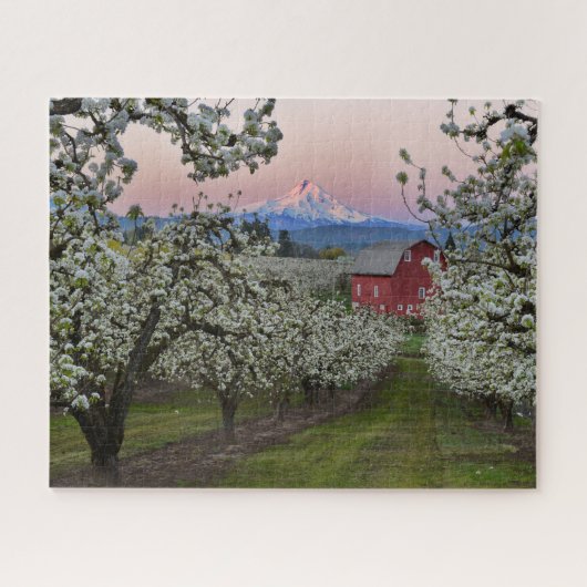 Pear Orchard in Bloom with Barn near Mount Hood Legpuzzel (Horizontaal)