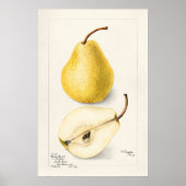 Pear Poster (Voorkant)