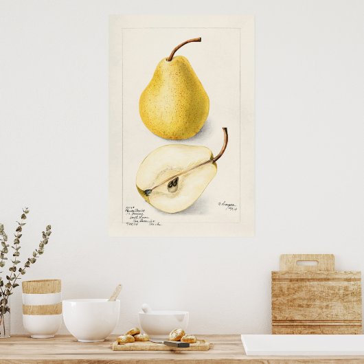 Pear Poster (Keuken)