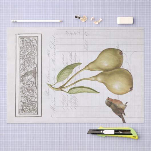  Pear Robin French Owl Leaves Decoupage Tissuepapier (Craft)