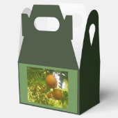 Pear Tree Oogst Bedankdoosjes (Geopend)