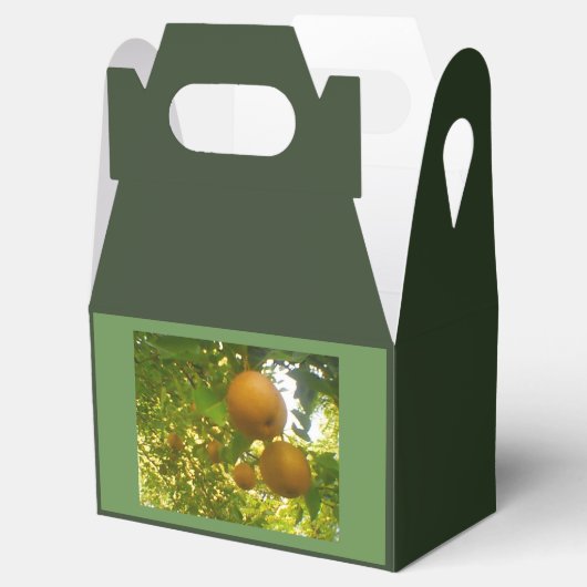 Pear Tree Oogst Bedankdoosjes (Geopend)