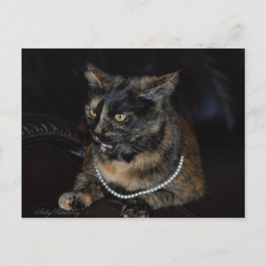 Pearl.Briefkaart. Briefkaart (Voorkant)