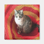 Pearl Cat Afghaans Magneet (Voorkant)