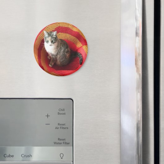 Pearl Cat Afghaans Magneet (Insitu (Koelkast))