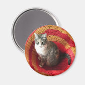 Pearl Cat Afghaans Magneet (Voorkant / Achterkant)