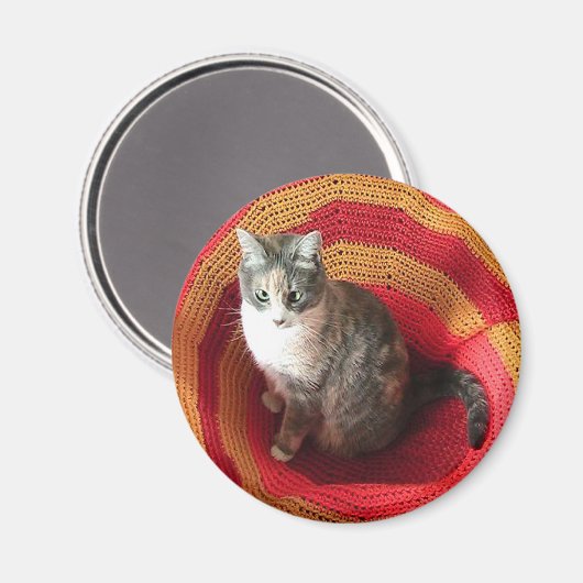 Pearl Cat Afghaans Magneet (Voorkant / Achterkant)