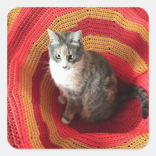 Pearl Cat Afghaans Vierkante Sticker