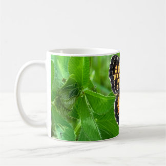 Pearl Crescent butterfly mug ©️dh26 Koffiemok