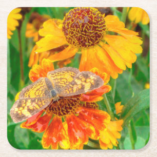 Pearl Crescent Butterfly op Sneezeweed Kartonnen Onderzetters