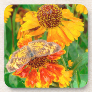 Pearl Crescent Butterfly op Sneezeweed Onderzetter