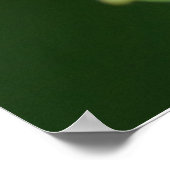 Pearl Crescent Butterfly Poster (Hoek)