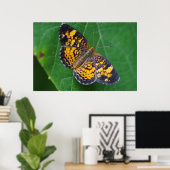 Pearl Crescent Butterfly Poster (Thuiskantoor)