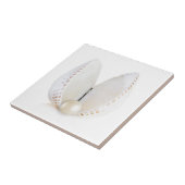Pearl en seashell tegeltje (Zijkant)