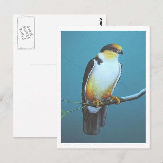 Pearl Kite Briefkaart (Voorkant / Achterkant)