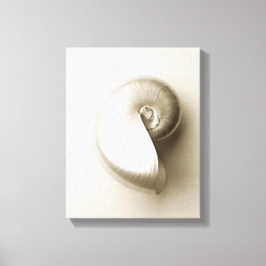 Pearl Nautilus Seashell Canvas Afdruk (Voorkant)