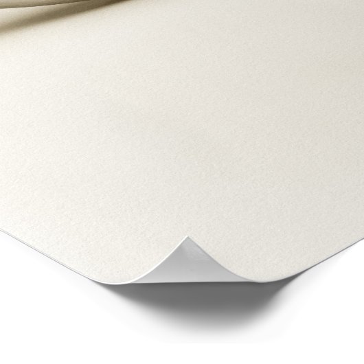 Pearl Nautilus Seashell Poster (Hoek)