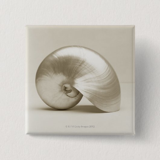 Pearl Nautilus Seashell Vierkante Button 5,1 Cm (Voorkant)