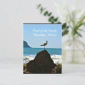 Pearl of the Pacific Mazatlan Mexico Bird Briefkaart (Staand voorkant)