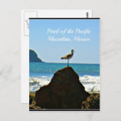 Pearl of the Pacific Mazatlan Mexico Bird Briefkaart (Voorkant / Achterkant)