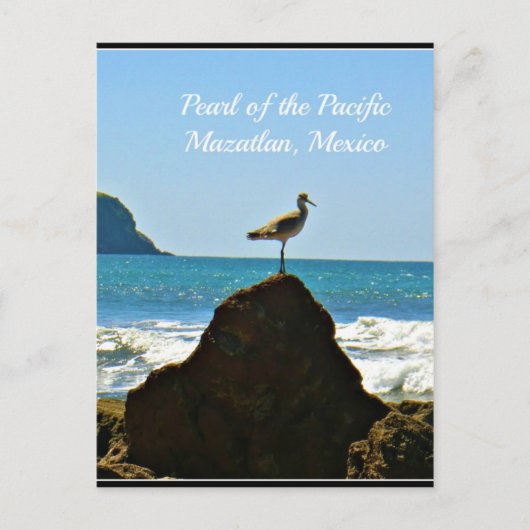 Pearl of the Pacific Mazatlan Mexico Bird Briefkaart (Voorkant)