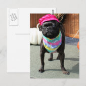 Pearl - Pug en Boston Terrier Mix Breed Foto-08 Briefkaart (Voorkant / Achterkant)