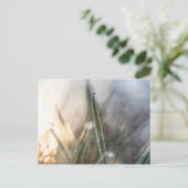 Pearls van de Natuur van Dew Briefkaart (Staand voorkant)