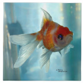 Pearlscale oranje Goldfish Tile Tegeltje (Voorkant)