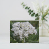 Pearly Everduurzaam, Unalaska Island Briefkaart (Staand voorkant)