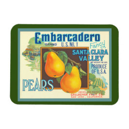 Pears Retro krat kunst magneet