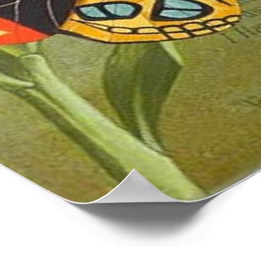 Pears Sopa Butterfly Poster (Hoek)