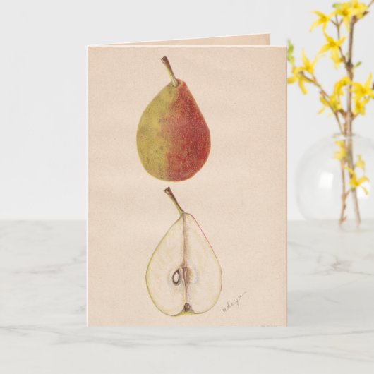  Pears Wenskaart Kaart (Gele Bloem)