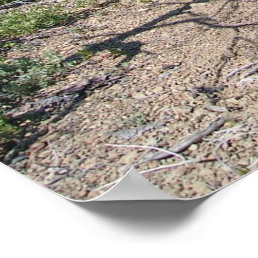 Pearsoll Peak Fire Lookout Kalmiopsis Wilderness Poster (Hoek)