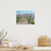 Pearsoll Peak Fire Lookout Kalmiopsis Wilderness Poster (Keuken)