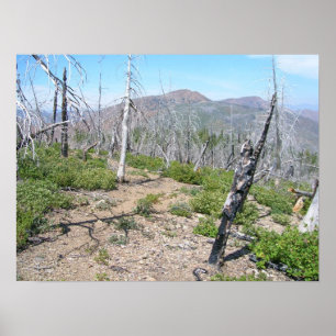 Pearsoll Peak Fire Lookout Kalmiopsis Wilderness Poster