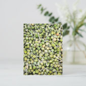 Peas Sprouts Briefkaart (Staand voorkant)