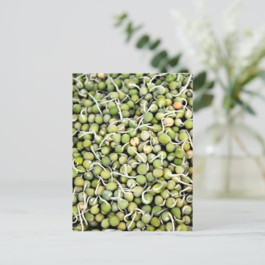 Peas Sprouts Briefkaart (Staand voorkant)