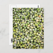 Peas Sprouts Briefkaart (Voorkant / Achterkant)