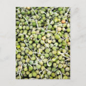 Peas Sprouts Briefkaart (Voorkant)