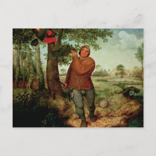 Peasant en Birdnester, 1568 Briefkaart