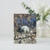 Pebble Beach 2 Briefkaart (Staand voorkant)