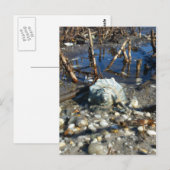 Pebble Beach 2 Briefkaart (Voorkant / Achterkant)