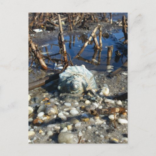 Pebble Beach 2 Briefkaart (Voorkant)