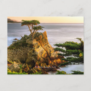 Pebble Beach, Californië Briefkaart