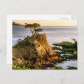 Pebble Beach, Californië Briefkaart (Voorkant / Achterkant)