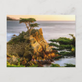 Pebble Beach, Californië Briefkaart (Voorkant)