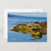 Pebble Beach, Galiano Island, British Columbia Briefkaart (Voorkant / Achterkant)